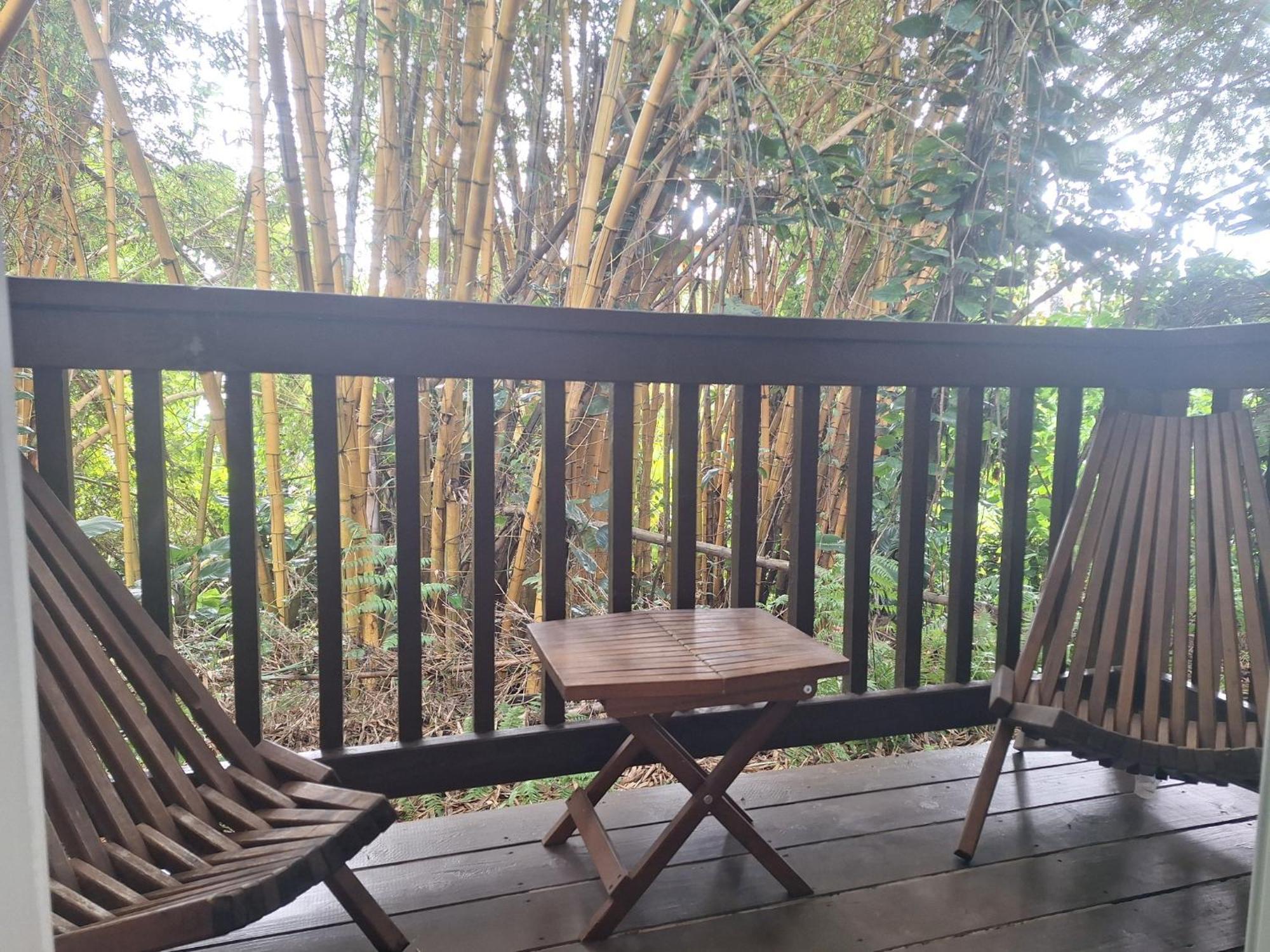 Wild Ginger Hotel Hilo Kültér fotó